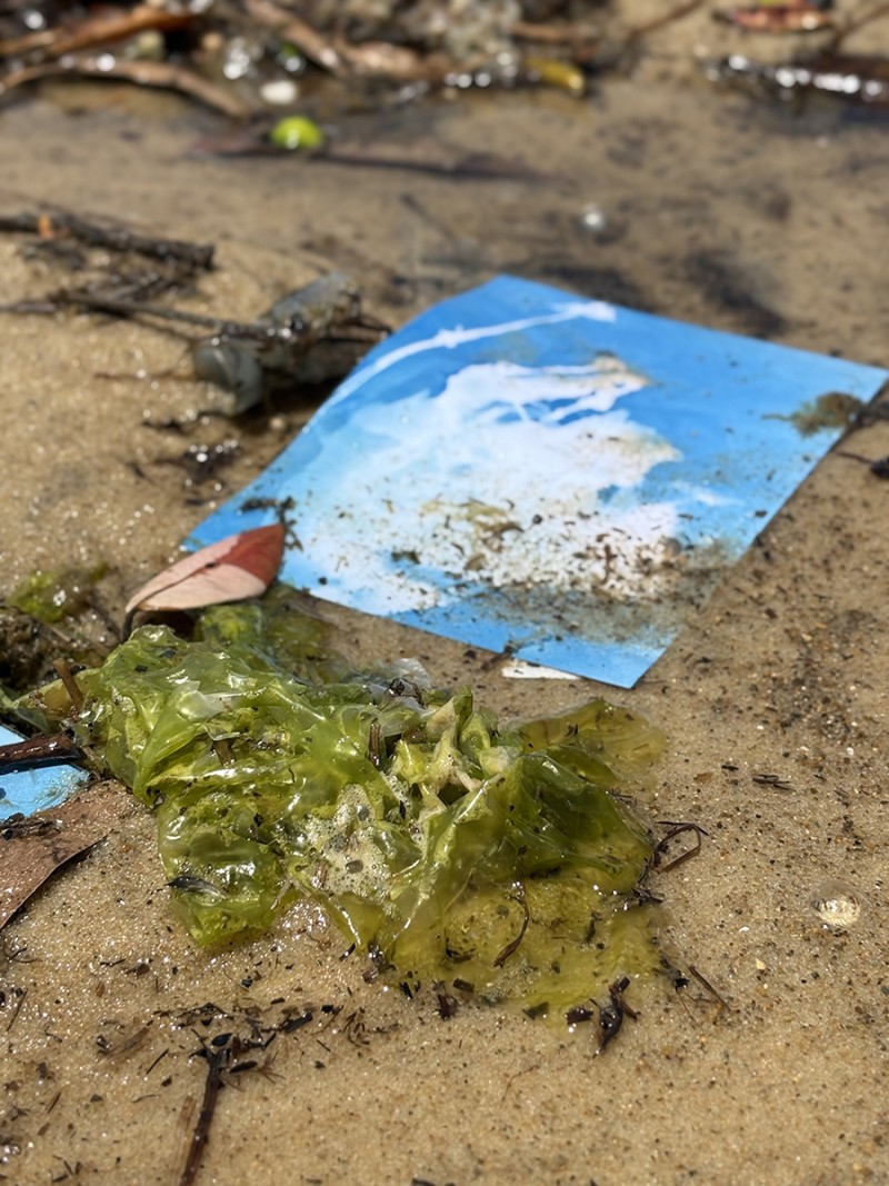 Detail of Awhitu Mauri by Cora-Allan | Issue 261 