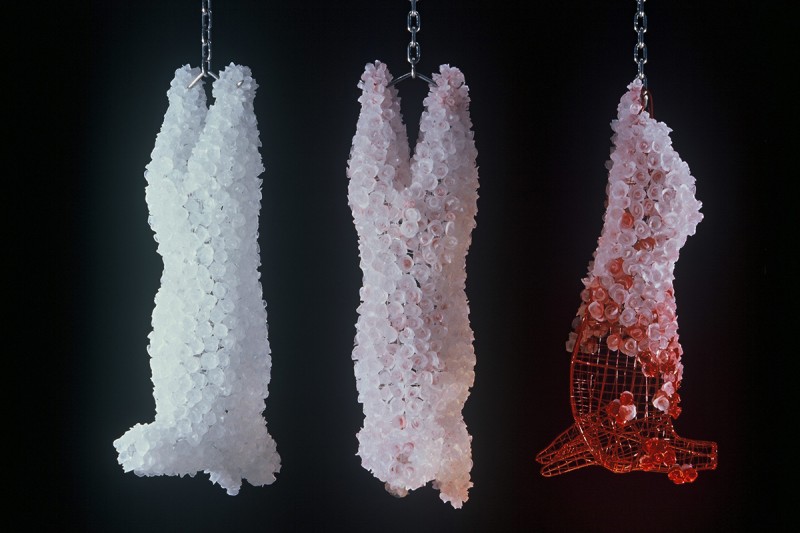 Hung Drawn and Slaughtered by Crystal Chain Gang | Issue 256 