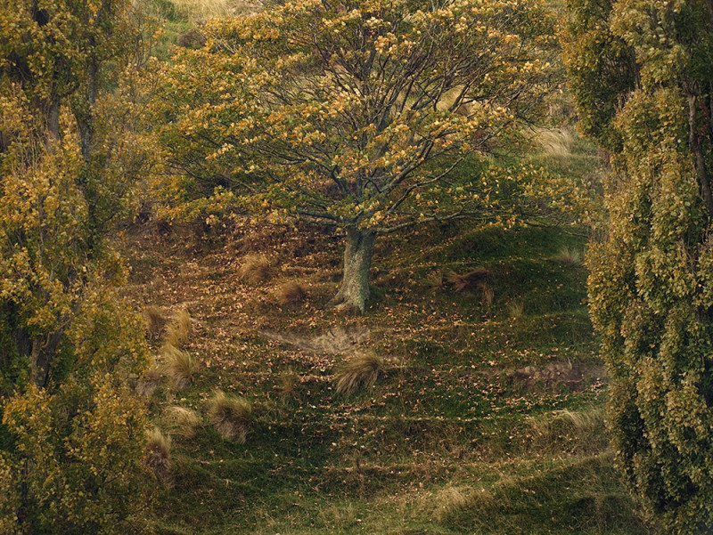 Garden of Clay directed by Martin Sagadin | Issue 197