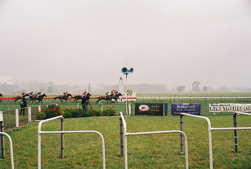 Last Race, Wairoa Racecourse, Feb 2019 by Seán McMahon. | Issue 155 