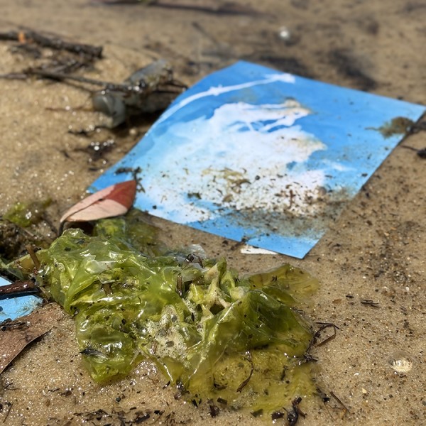 Shifting strands - 261 | Regional News