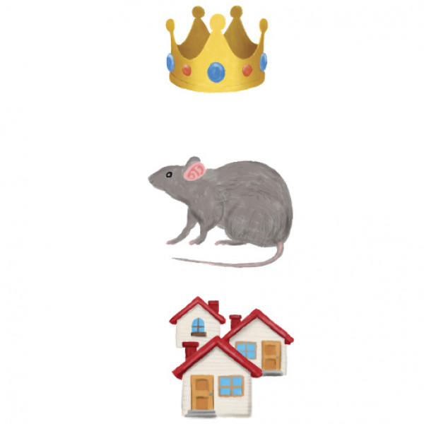 Rat King Landlord | Regional News