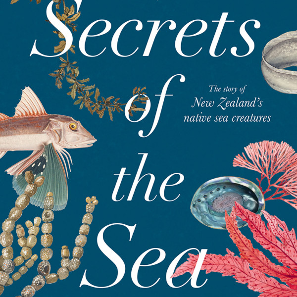 Secrets of the Sea | Regional News